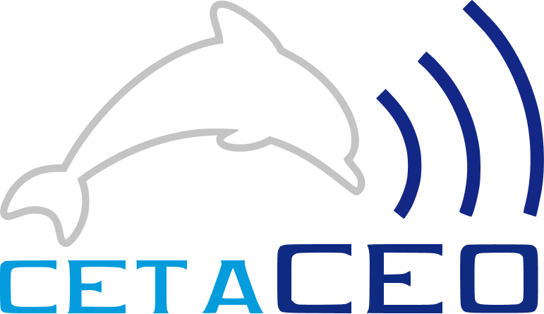 cetaceo